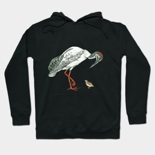 Australian Bin Chicken with Button Quail Hoodie